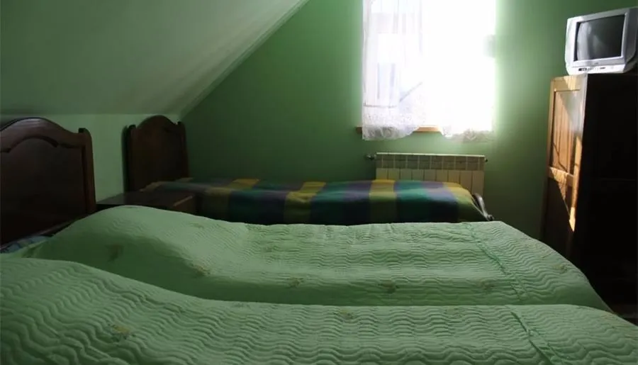 გუჯი — ფოტო 26