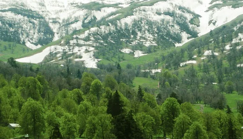 ჰილსაიდ ბაკურიანი , ბ. 108 — ფოტო 9