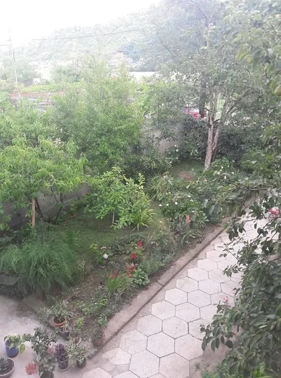 Green Yard — Photo 14