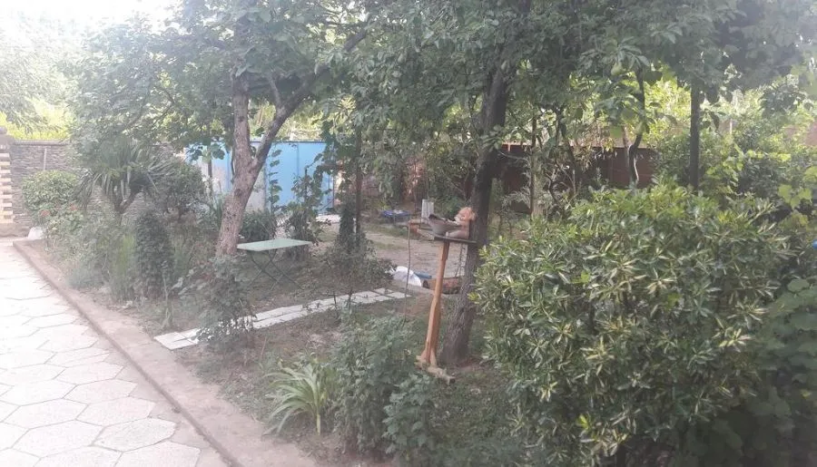 Green Yard — Photo 3