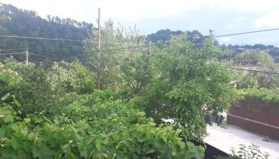 Green Yard — Photo 4