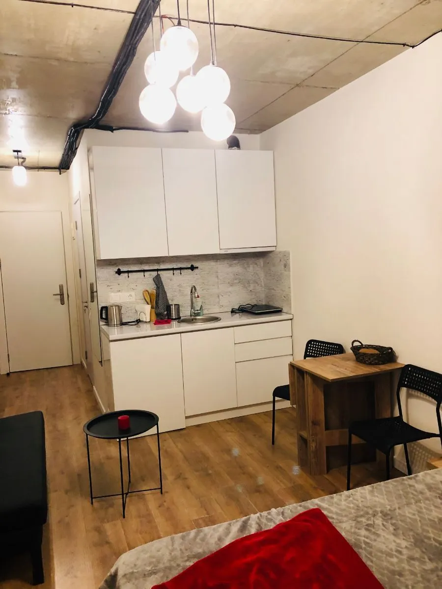 New Gudauri Loft 2 — Photo 9