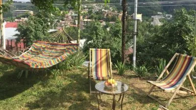 პანორამა
