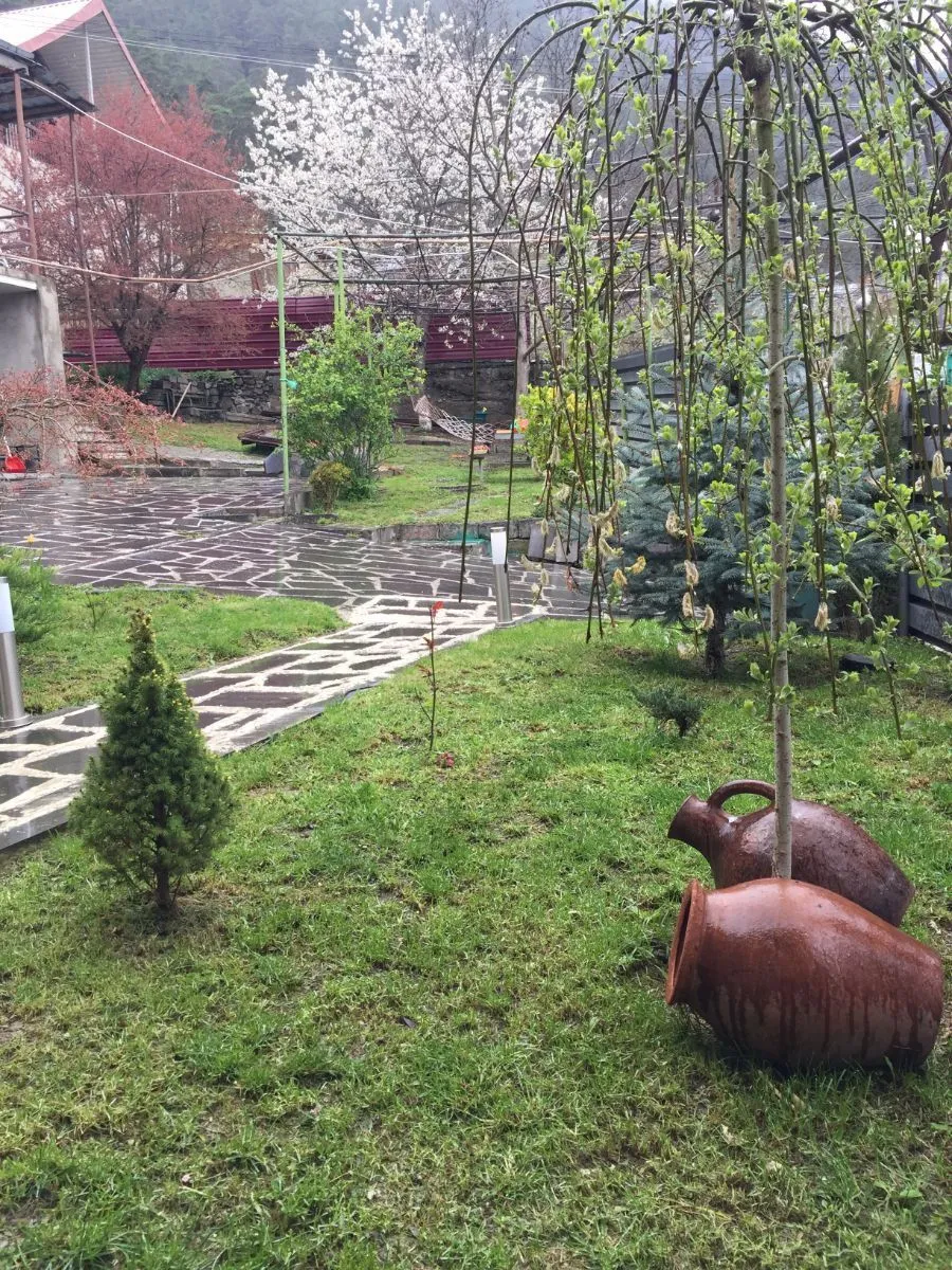 Holiday in Borjomi — Photo 106