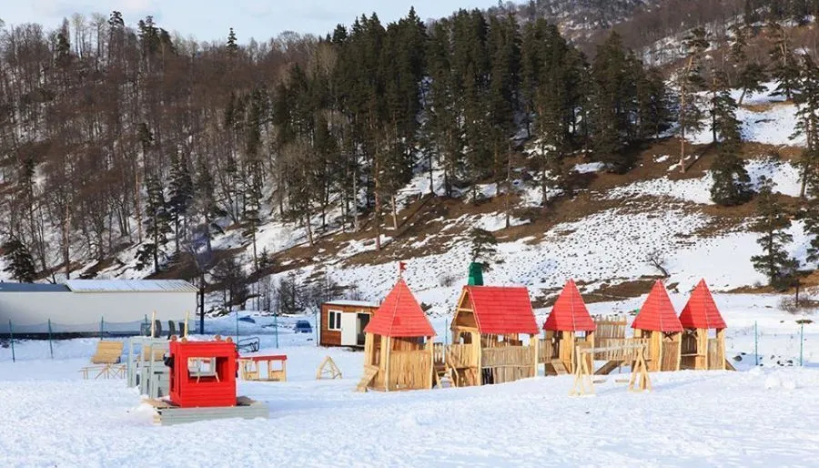 წასაშლელია — Photo 3