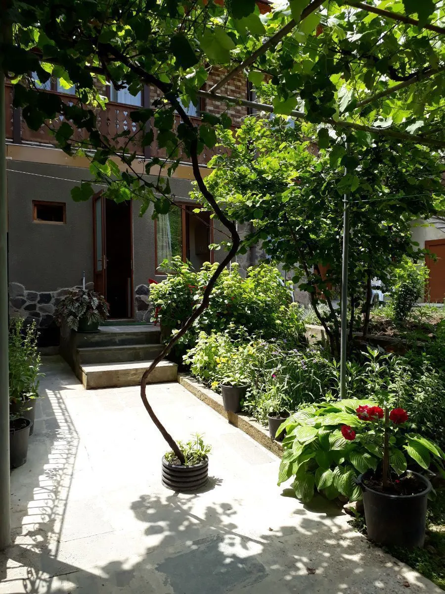 Ivan's House — Photo 5