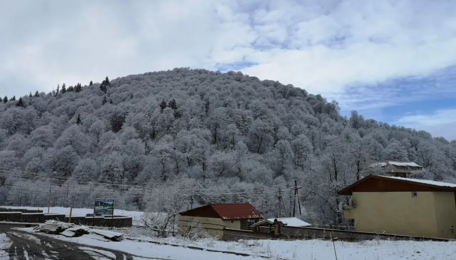 დიდველი შალე ლელე 145 — ფოტო 4