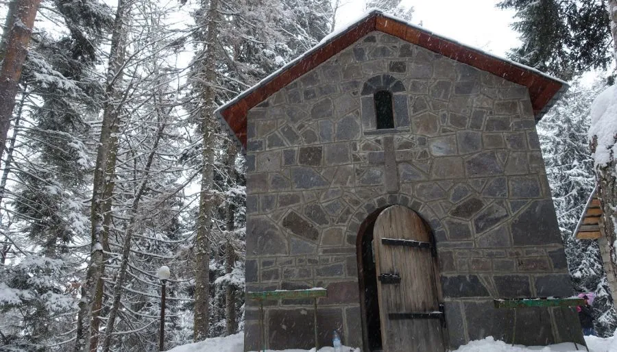 დიდველი შალე ლელე 145 — ფოტო 2