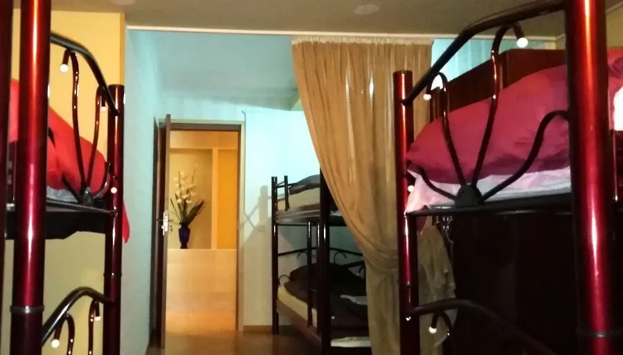 ფეოლა — ფოტო 27