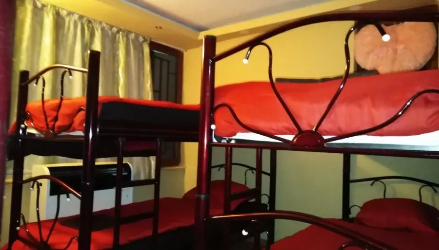 ფეოლა — ფოტო 30