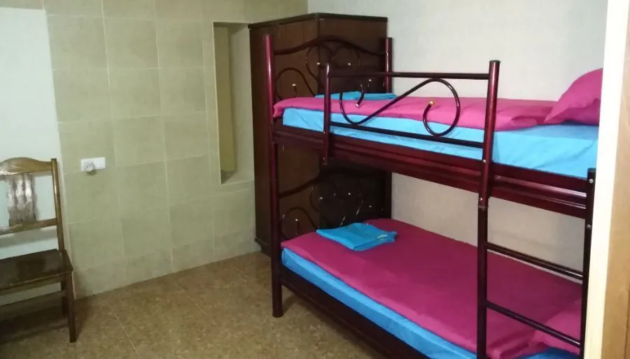 ფეოლა — ფოტო 26