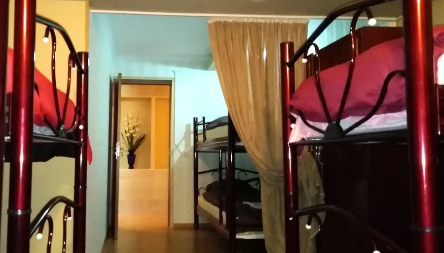 ფეოლა — ფოტო 25
