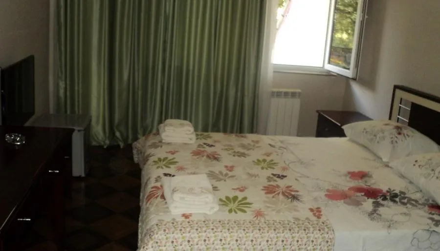 EcoRest - Likani Palace — Photo 35