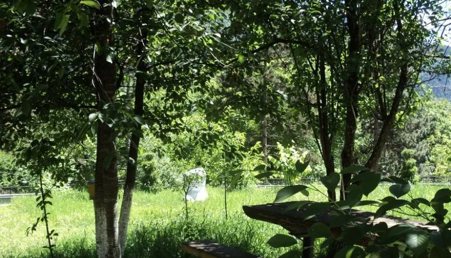 EcoRest - Likani Palace — Photo 27