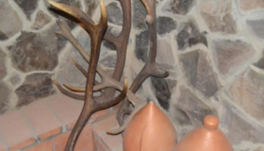 Borjomi Villa Roma — Photo 7