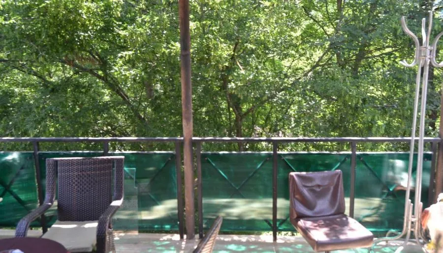 Borjomi Villa Roma — Photo 2