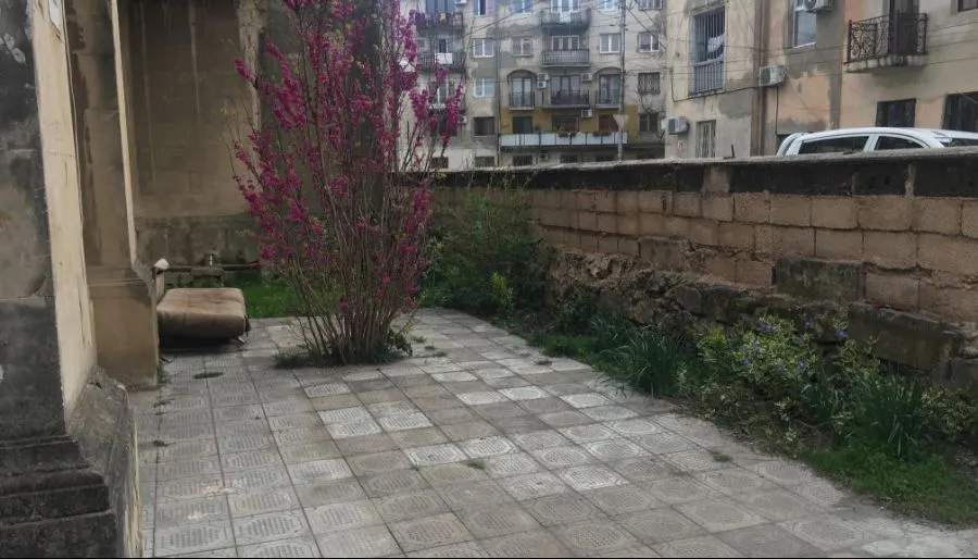ტატი — ფოტო 4