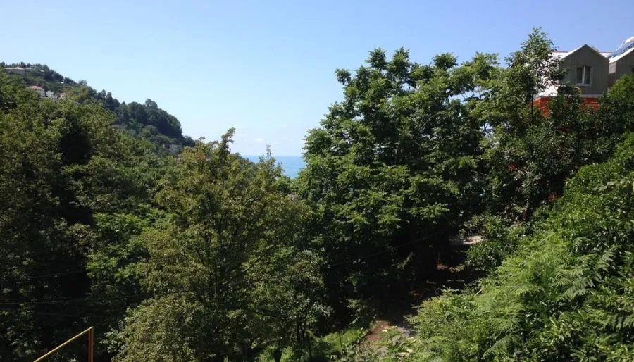 როიალ ჰაუს — ფოტო 2