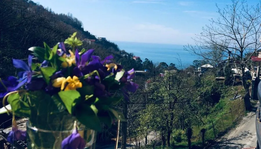 როიალ ჰაუს — ფოტო 4