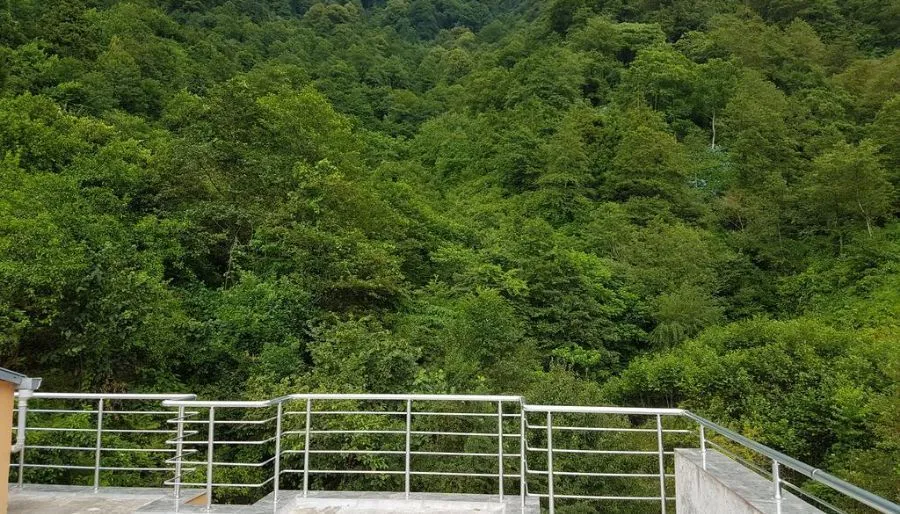 როიალ ჰაუს — ფოტო 8