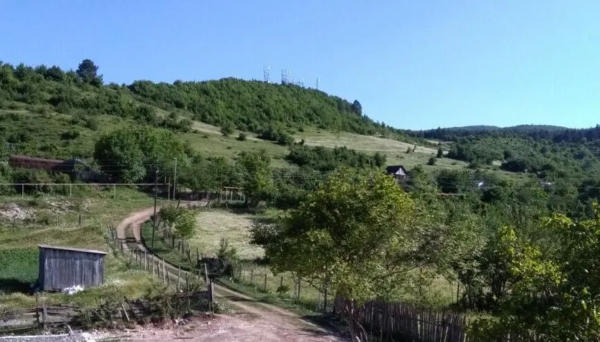 ხის სახლი — ფოტო 6