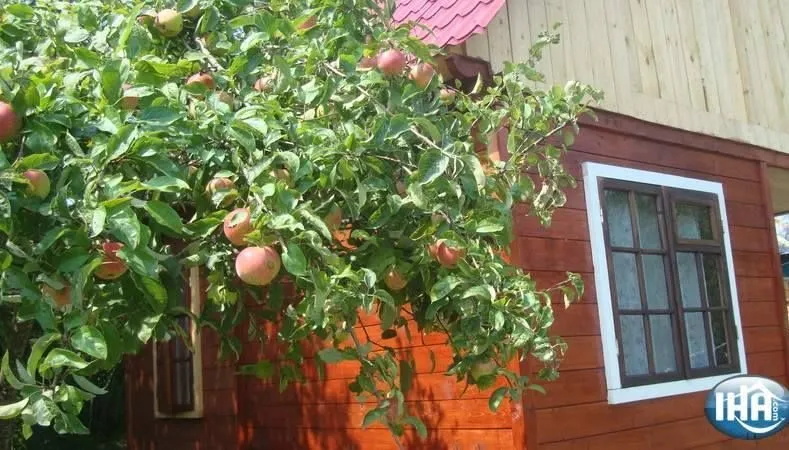 ფერადი კოტეჯები — ფოტო 6