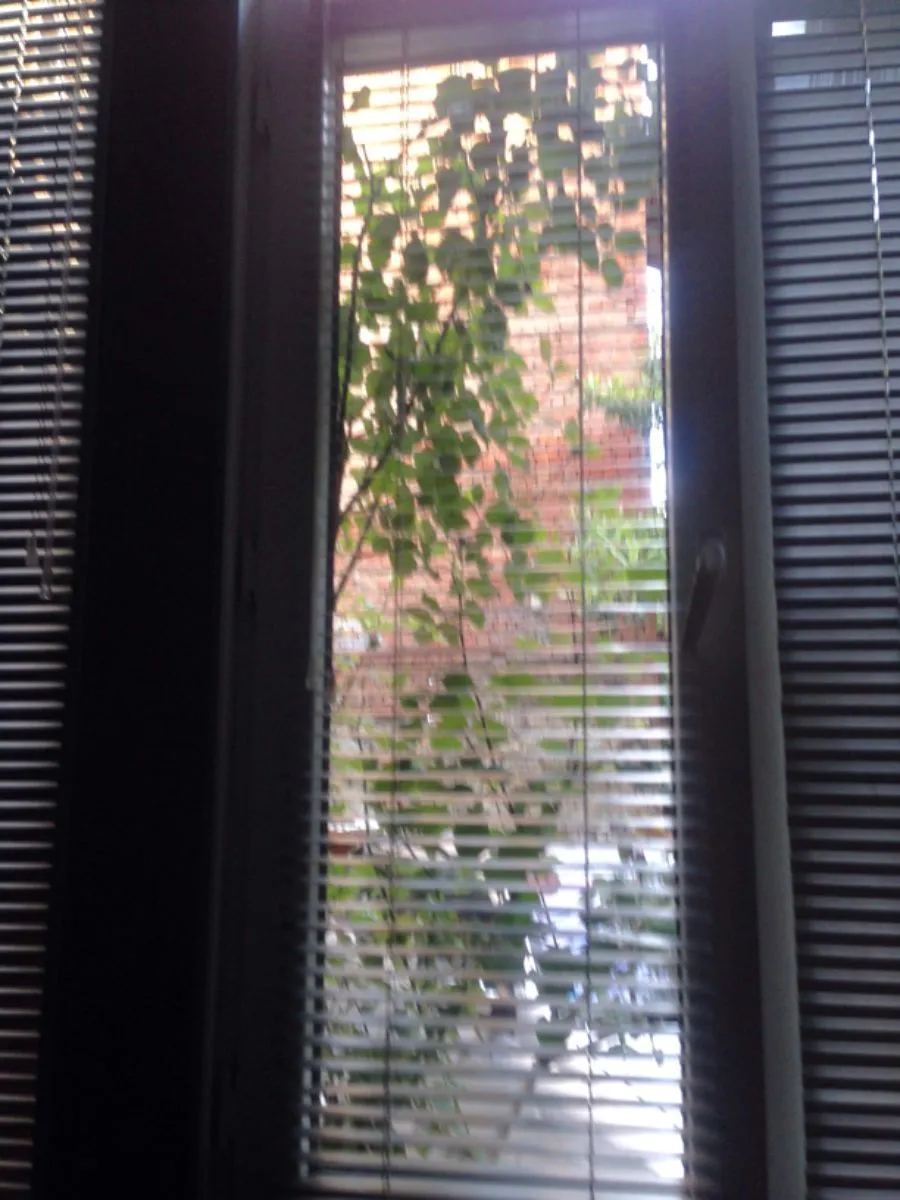 Lilu’s home — Photo 2
