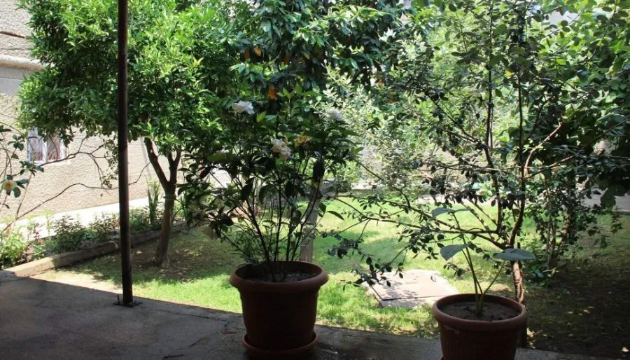 Hotel Oniks — Photo 11