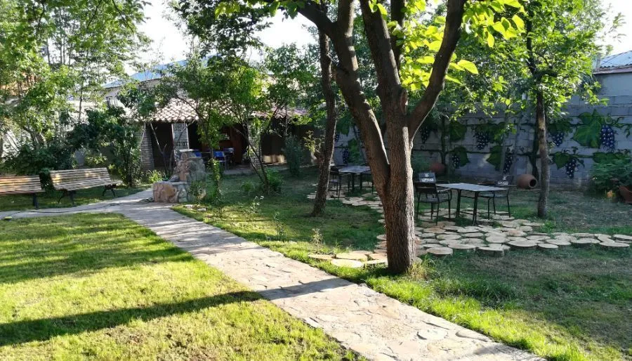 ჩიკო — ფოტო 20