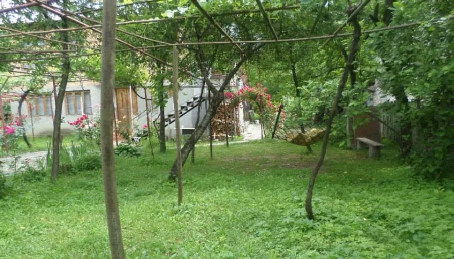 საბა — ფოტო 3