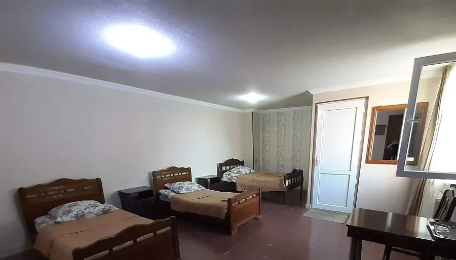 selika (sergo) — Photo 42