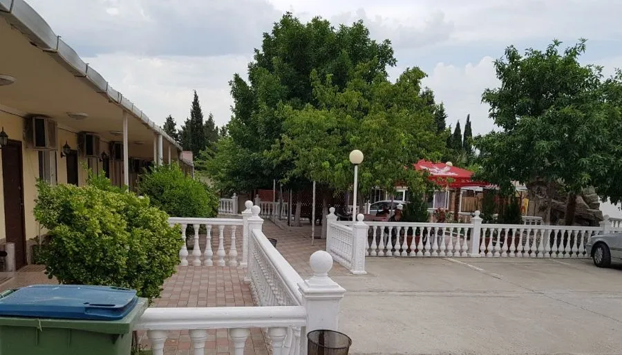 selika (sergo) — Photo 24