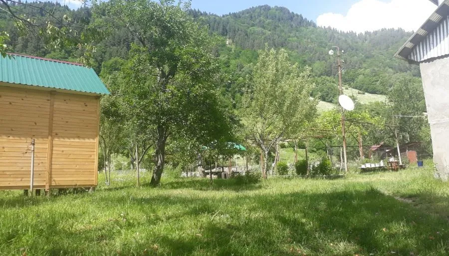 ნანი — ფოტო 19