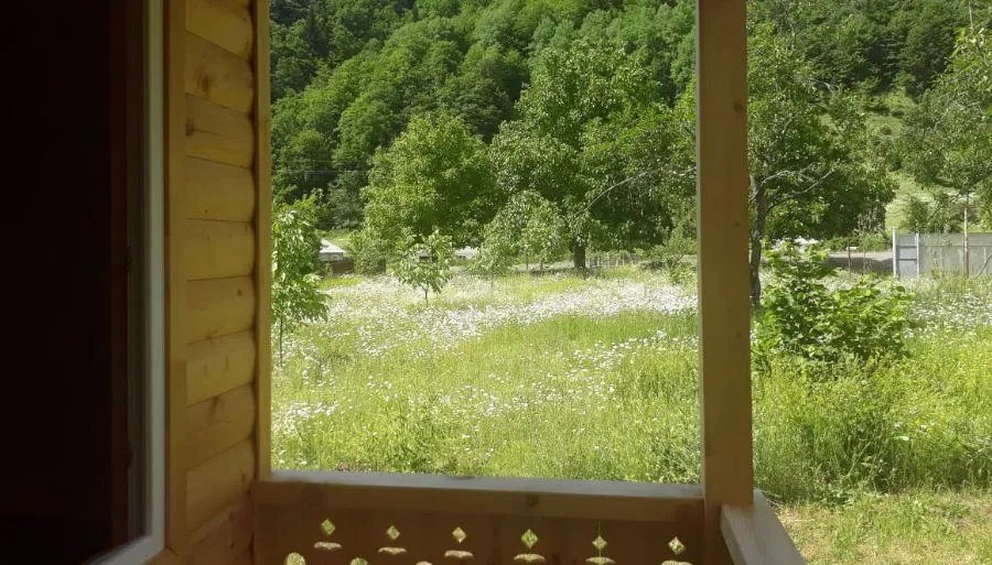 ნანი — ფოტო 27