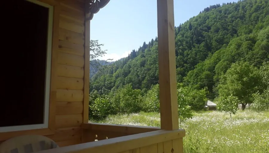ნანი — ფოტო 30