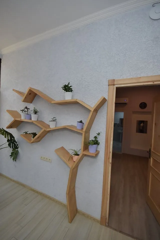 ბუდე — ფოტო 3
