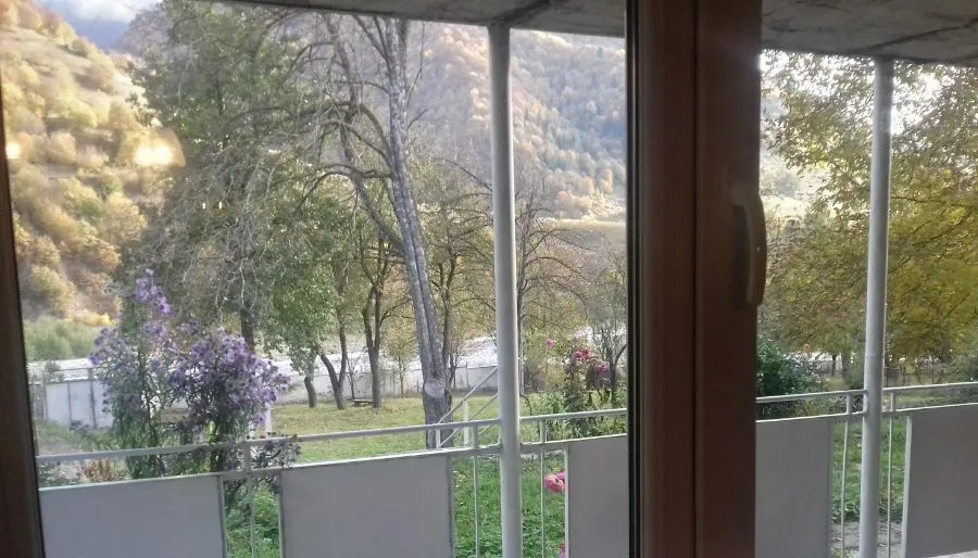 ზვიად1 — ფოტო 11
