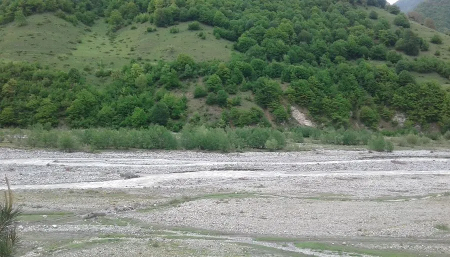 ზვიად1 — ფოტო 7