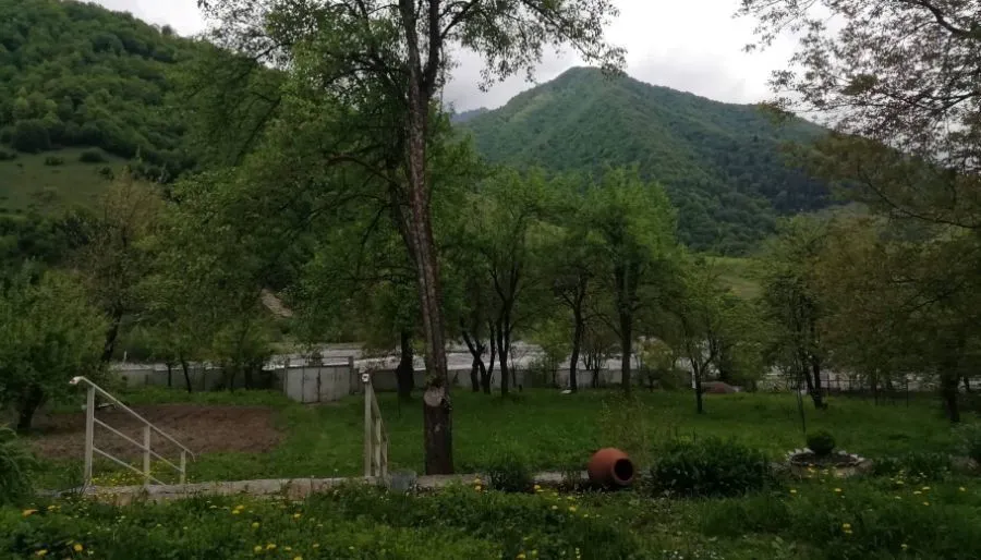 ზვიად1 — ფოტო 5