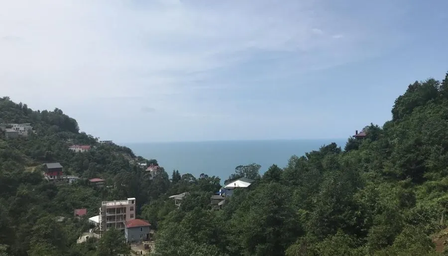ორეინჯ ჰაუს — ფოტო 11