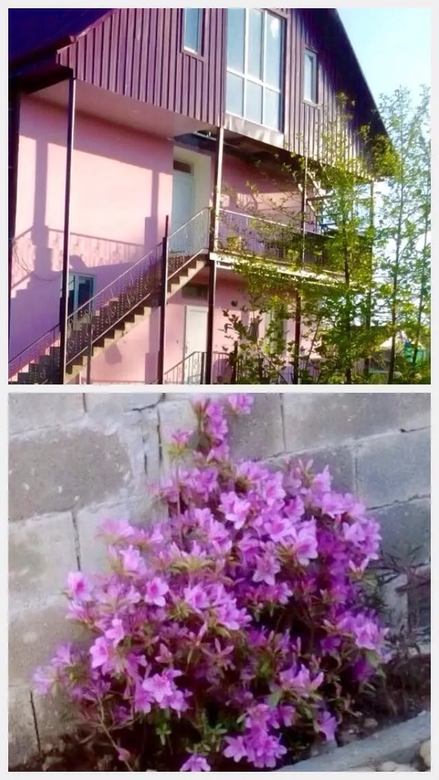 Tina's Guest House — Photo 8