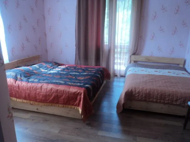 მზეთამზე — ფოტო 38