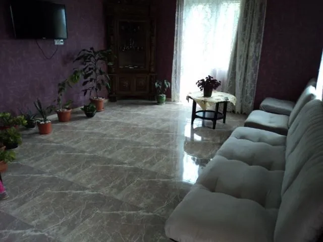მზეთამზე — ფოტო 15