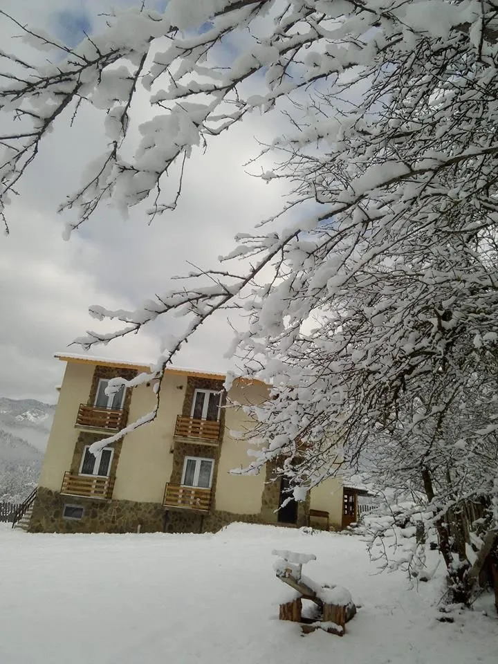 მზეთამზე — ფოტო 24