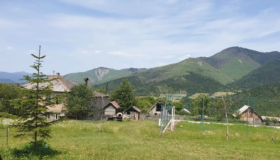 მზეთამზე — ფოტო 27