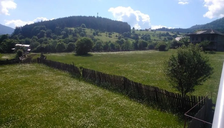 მზეთამზე — ფოტო 23