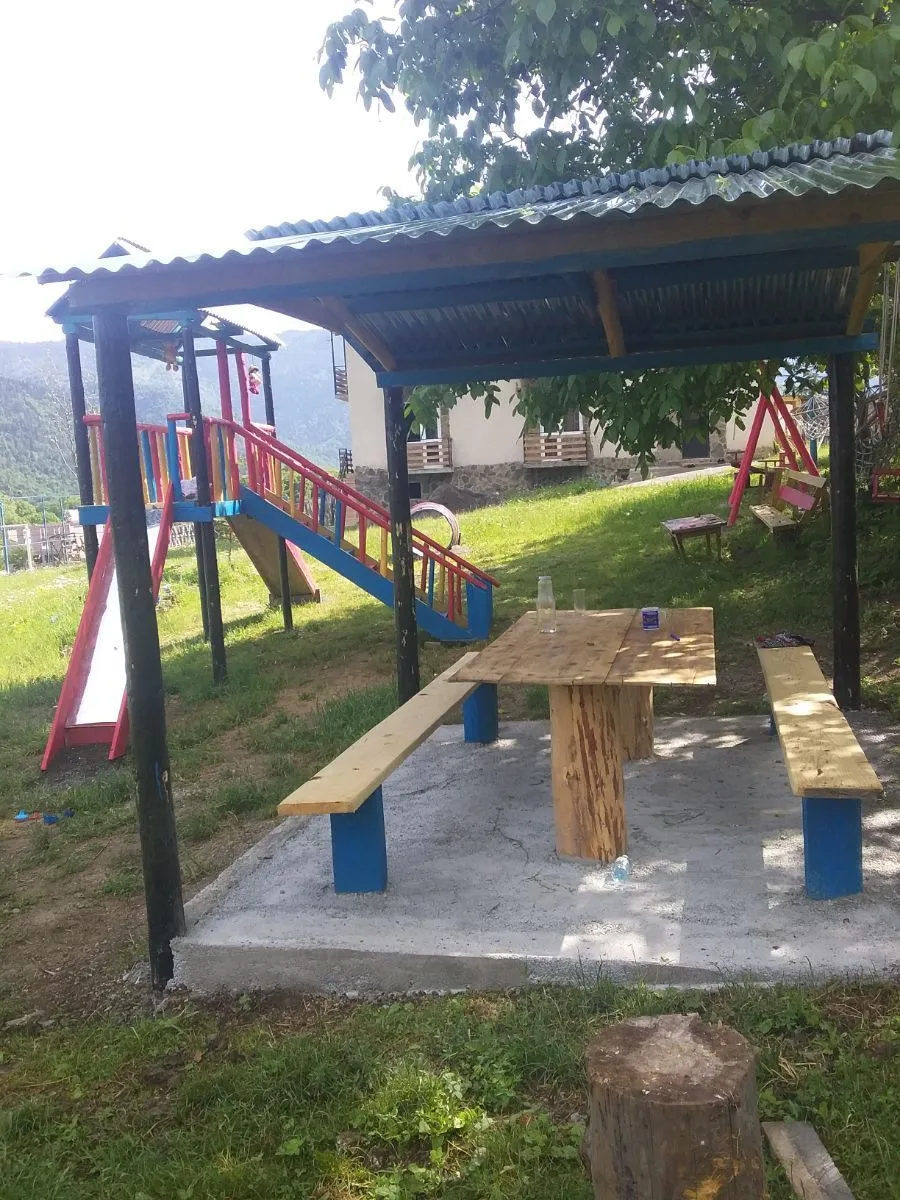 მზეთამზე — ფოტო 19