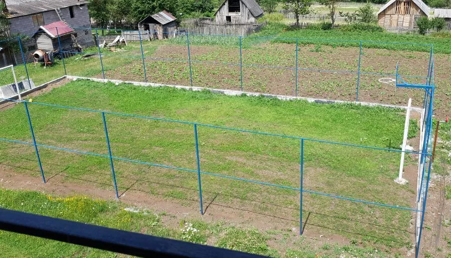 მზეთამზე — ფოტო 21