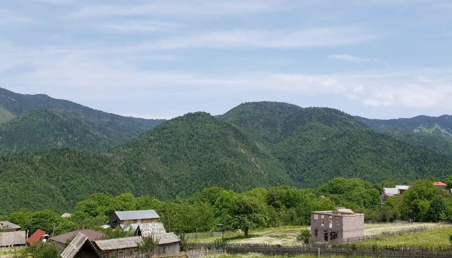 მზეთამზე — ფოტო 16