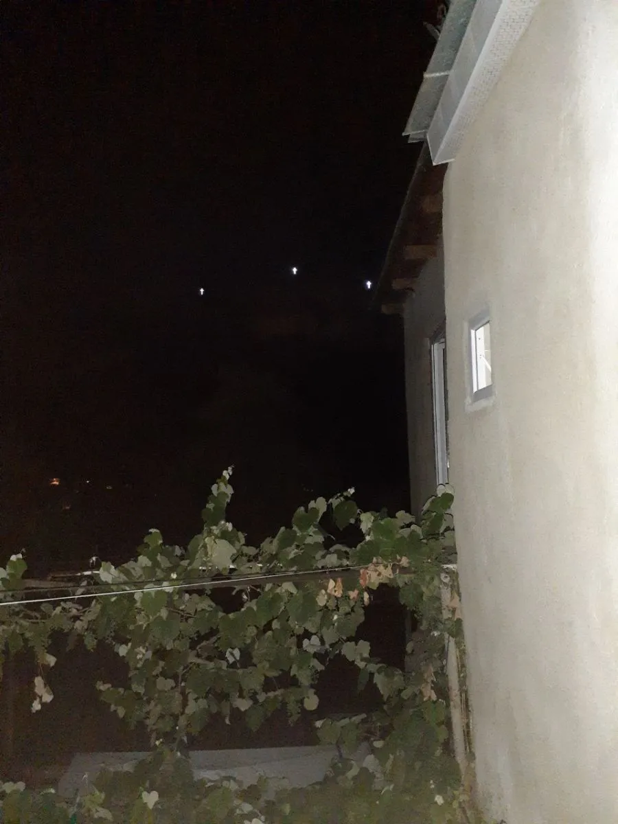 დავითი — ფოტო 7